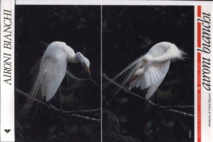 Aironi bianchi - Shingi Itoh - copertina