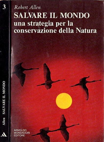 Salvare il mondo - Robert Allen - copertina