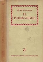 Il purosangue