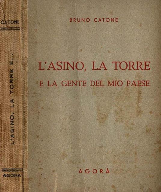 L' asino, la torre e la gente del mio paese - Bruno Caon - copertina