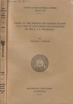 Fishes of the phoenix and samoan islands collected in 1939 during the expedition of the U. S. S. 
