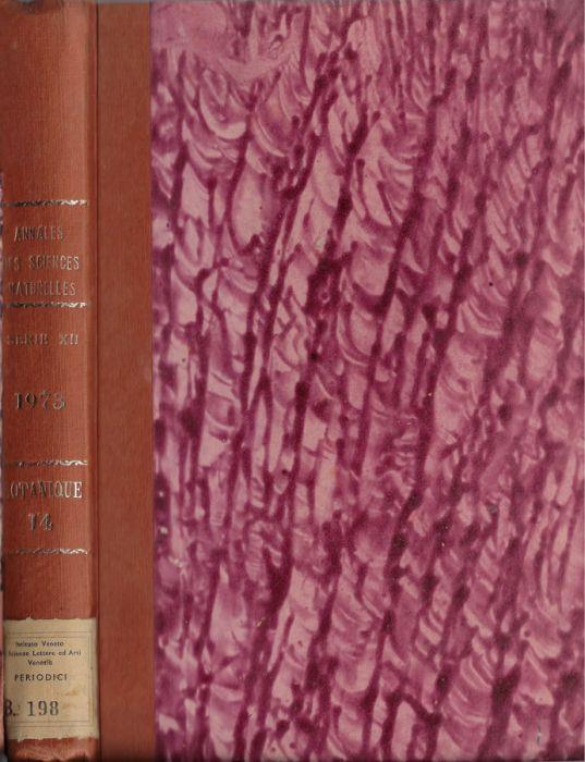 Biblioteca di Babele