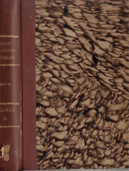 Annales des sciences naturelles douzième série zoologie et biologie animale tome XIX 11° série 1957 - copertina