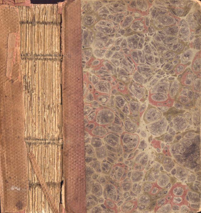 Biblioteca di Babele