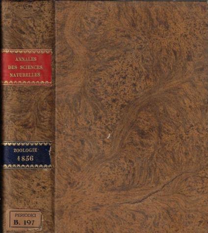 Annales des sciences naturelles IV série zoologie tome V-VI 1856 di: M. Milne Edwards - copertina