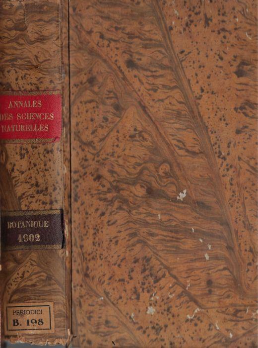 Biblioteca di Babele