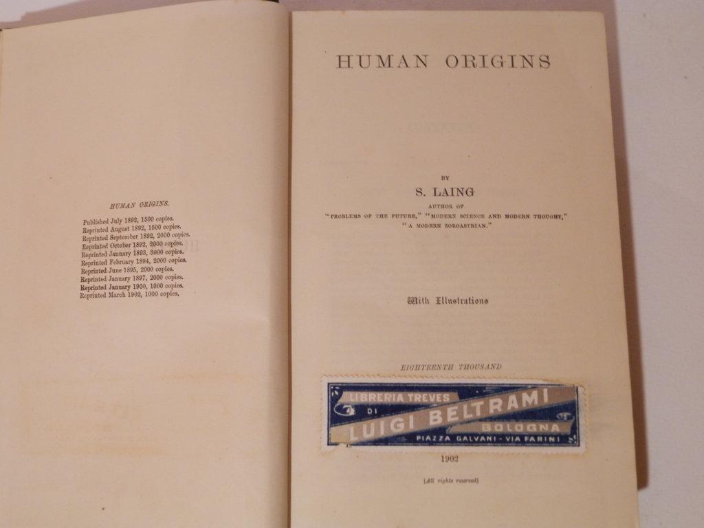 Origini umane