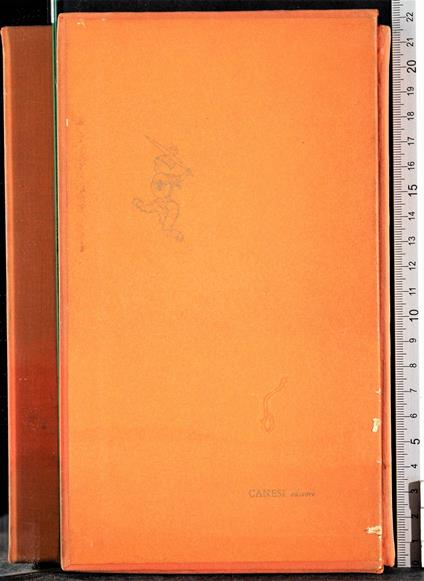 terrena pietà - Massimo Grillandi - copertina