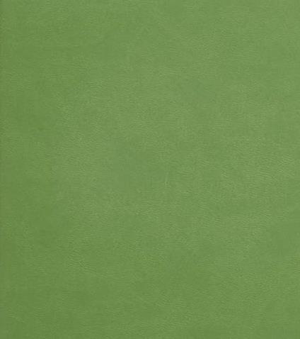 L' ITALIA DAL BARBIERE. Un secolo di almanacchi profumati - copertina