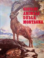 Giovani animali della montagna