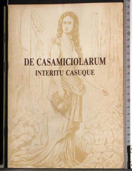 De casamiciolarum interitu casuque - Luigi Mucci - copertina