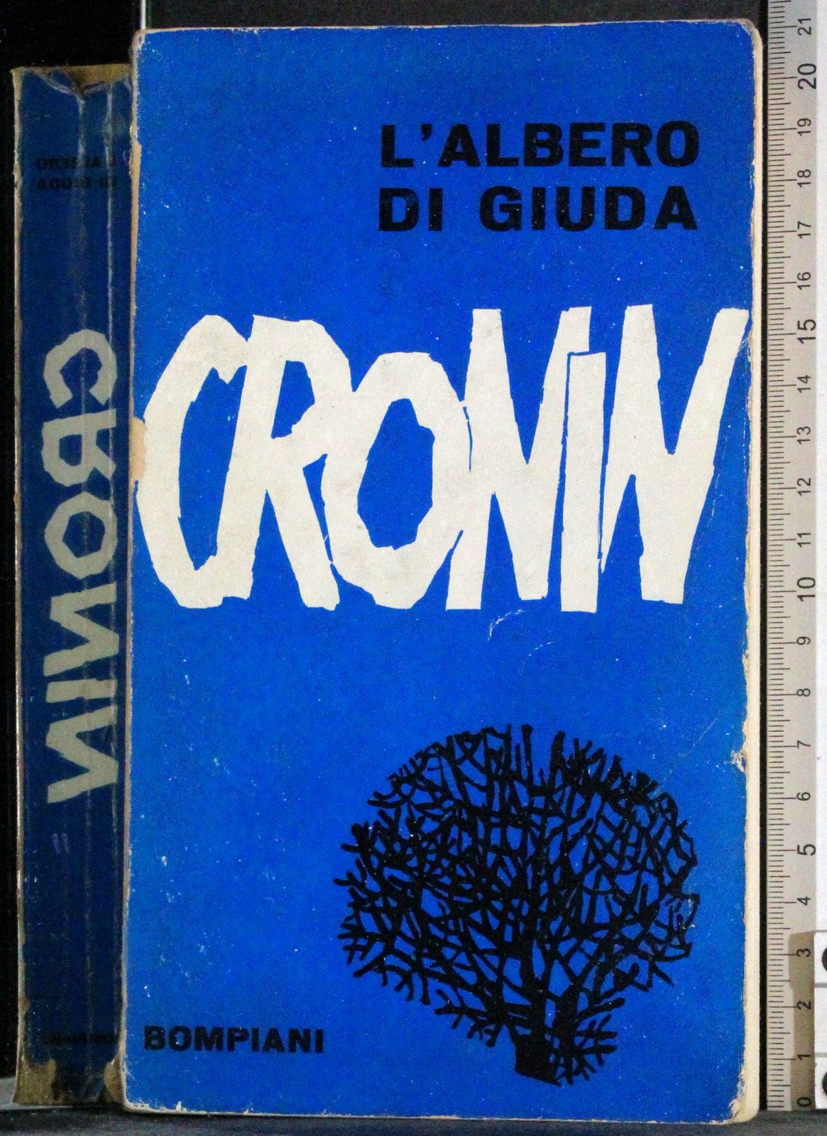 Cartarum