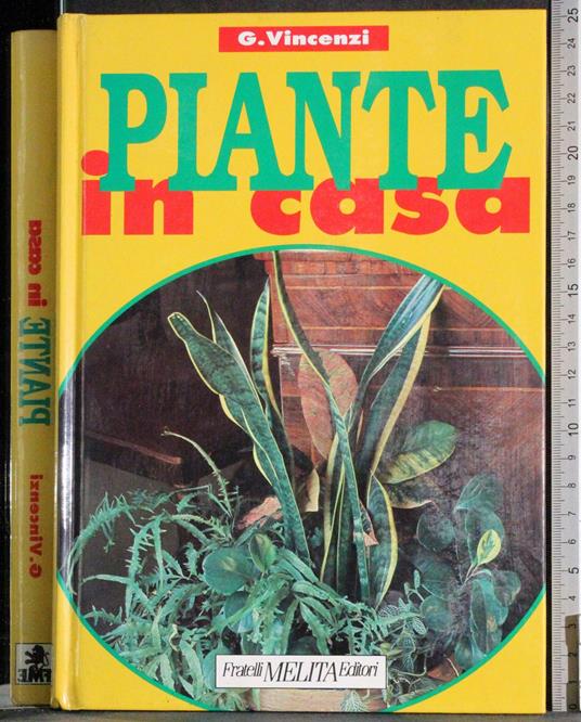 Piante in casa - copertina