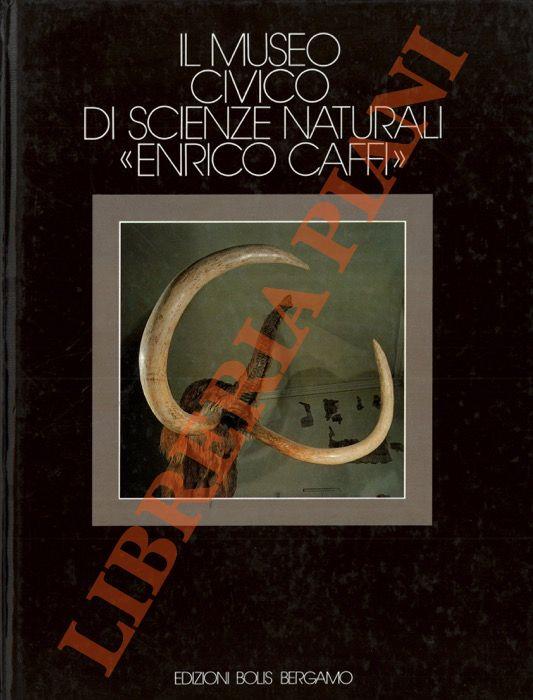 Libreria Piani