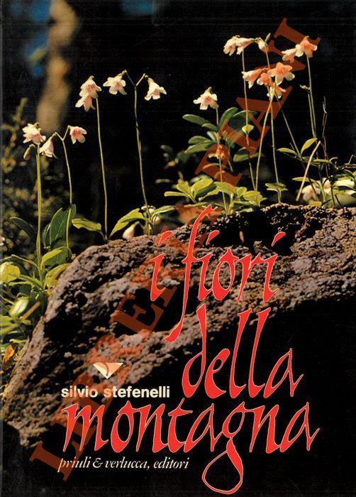 Libreria Piani