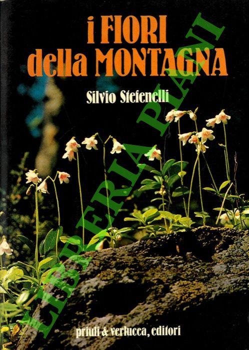 Libreria Piani