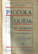 Piccola guida di Pompei