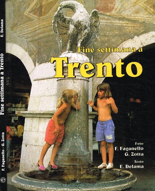 Fine settimana a Trento - Flavio Faganello - copertina
