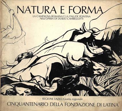 Natura e Forma - Mario Quesada - copertina