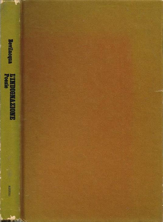 L' indignazione - Alberto Bevilacqua - copertina