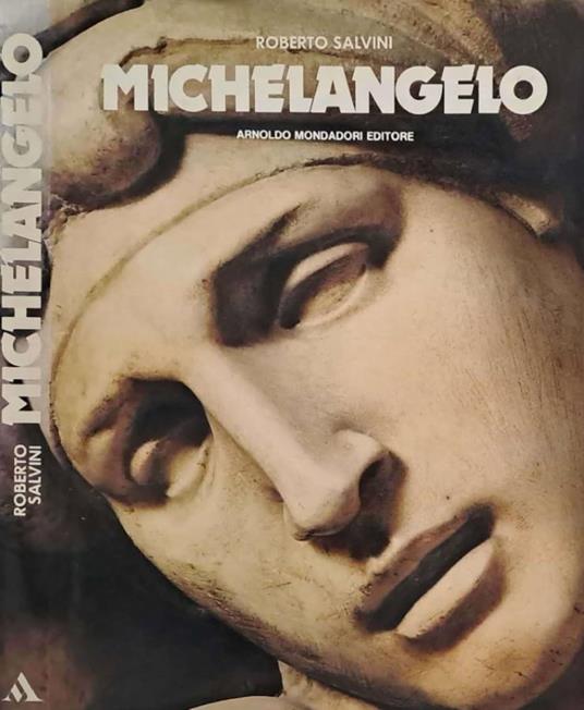 Michelangelo - Roberto Salvini - copertina