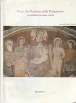 Culto alla madonna della Fontenuova