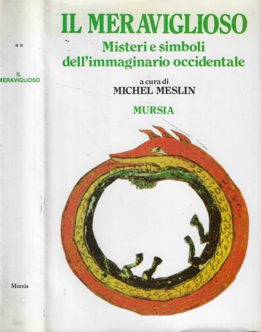 Il meraviglioso - Michel Meslin - copertina