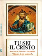 Tu sei il Cristo. Itinerario di fede con il Catechismo 