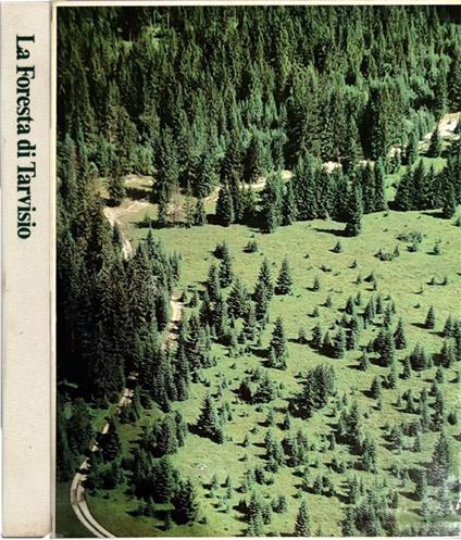 La Foresta di Tarvisio - copertina