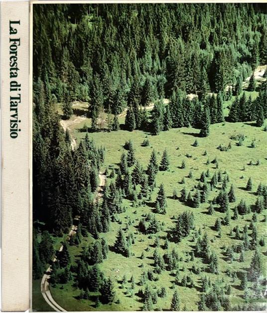 La Foresta di Tarvisio - copertina
