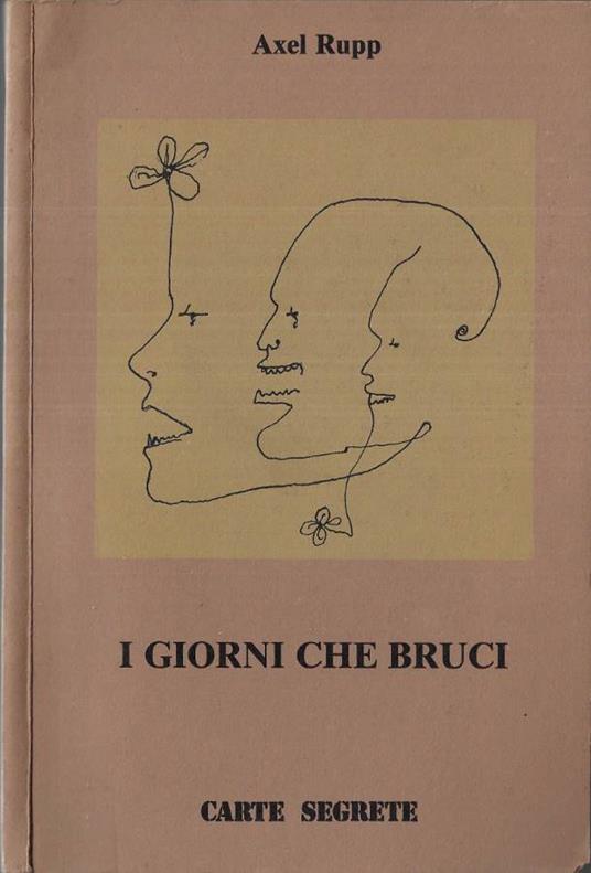 I giorni che bruci - copertina