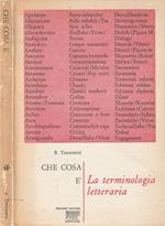 La terminologia letteraria