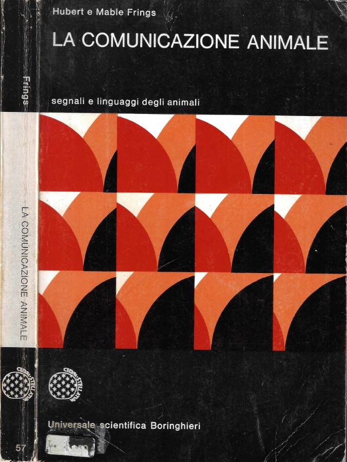 Biblioteca di Babele