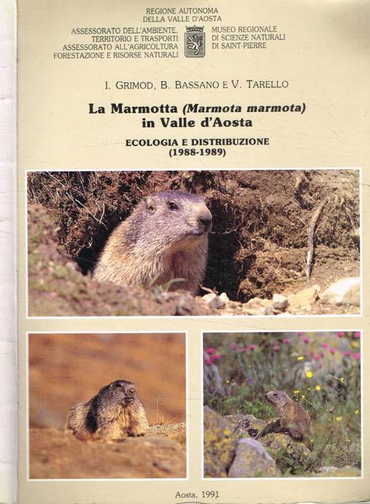 La marmotta in Valle d'Aosta (Marmota marmota). Ecologia e distribuzione 1988-1989 - copertina