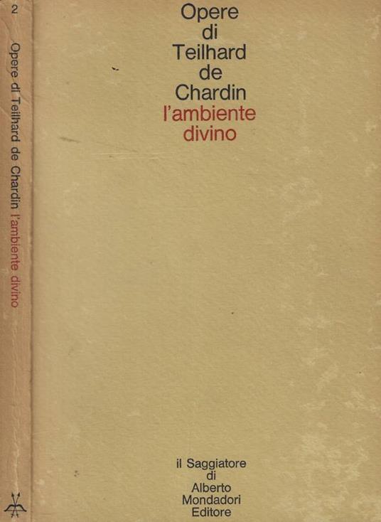 L' ambiente divino - copertina
