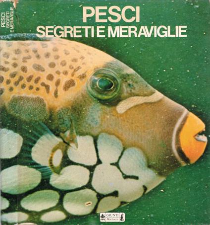Pesci: segreti e meraviglie - copertina