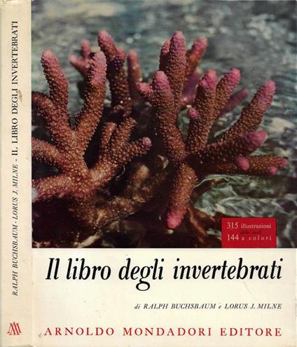 Il libro degli invertebrati - Ralph Buchsbaum - copertina