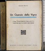 Un operaio della vigna. Il Ven Vincenzo Pallotti