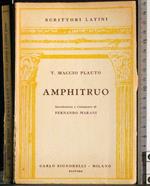 Amphitruo