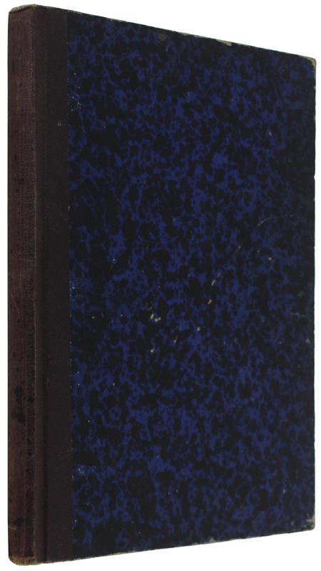 NICCOLO' DE' LAPI ovvero i Palleschi e i Piagnoni. - D'Azeglio Massimo. - Perino, - 1889