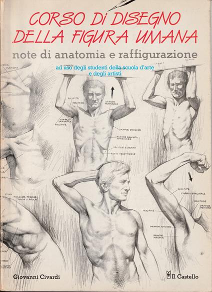 Corso di disegno della figura umana Note di anatomia e raffigurazione Ad uso degli studenti della scuola d'arte e degli artisti - Giovanni Civardi - copertina