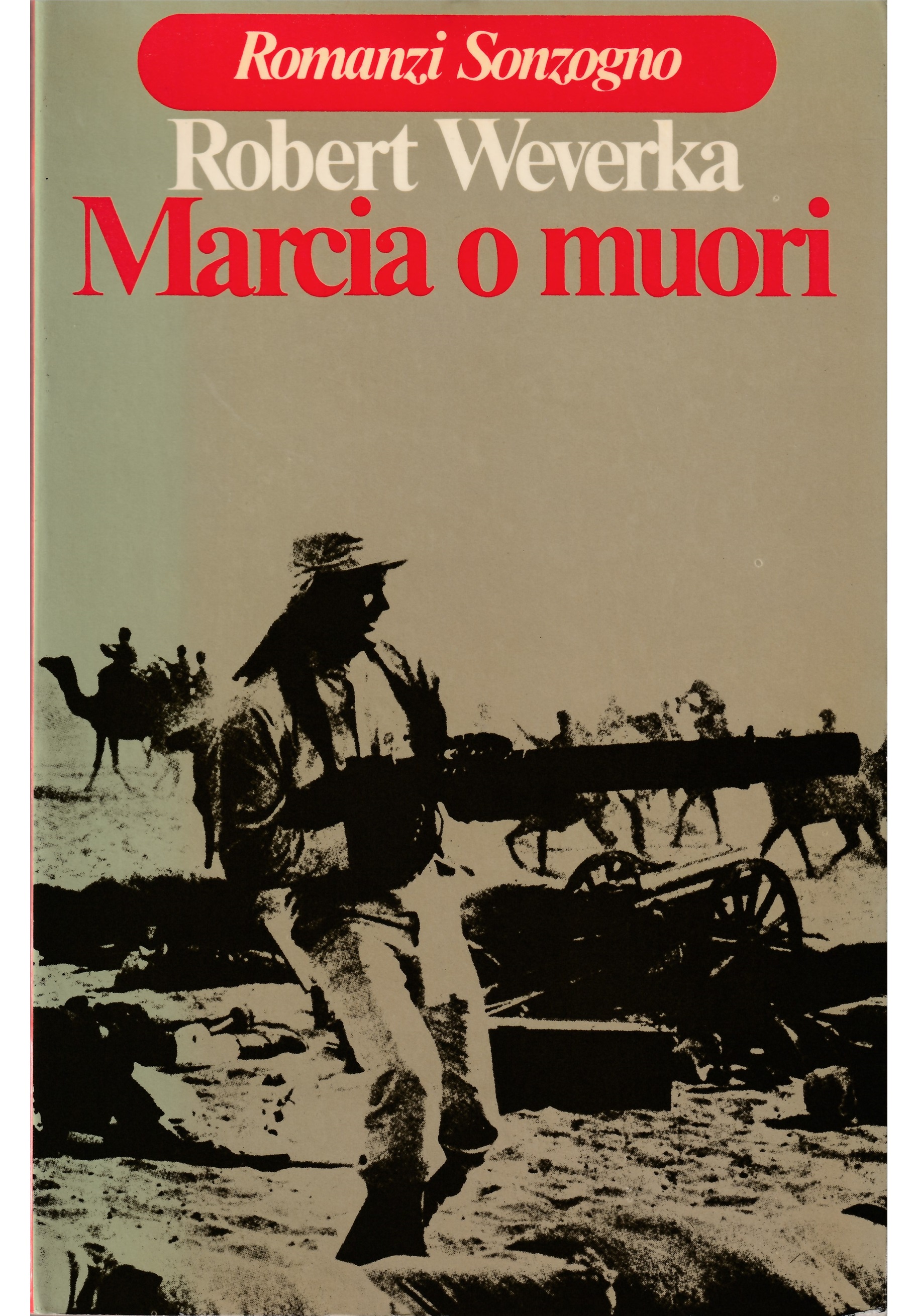 Libreria Tara