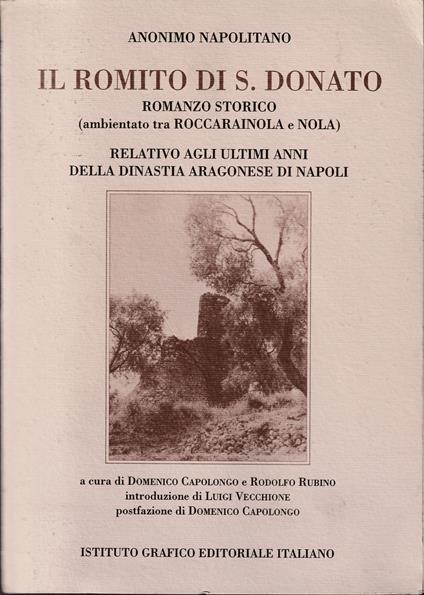 Il Romito di S. Donato Romanzo storico (ambientato tra Roccarainola e Nola) Relativo agli ultimi anni della dinastia aragonese di Napoli - copertina