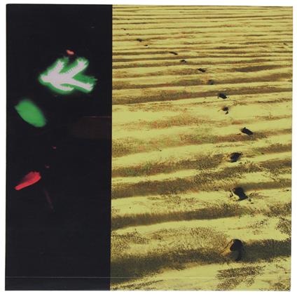 Caminando - copertina