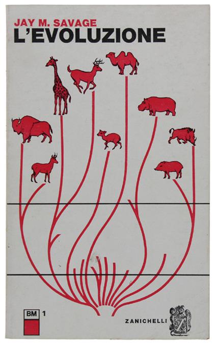 L' Evoluzione - Jay M. Savage - copertina