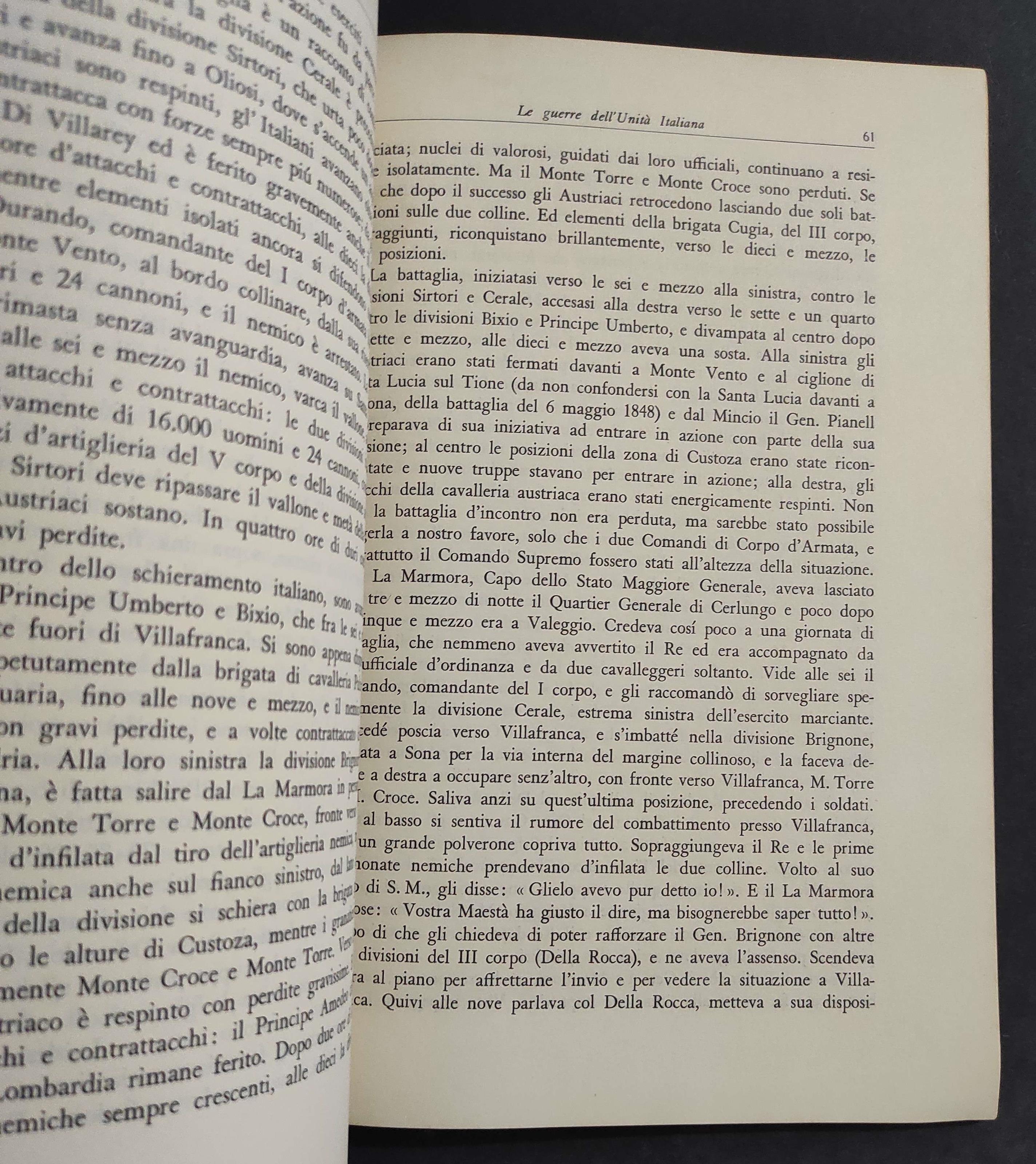 Le Guerre dell'Unità Italiana