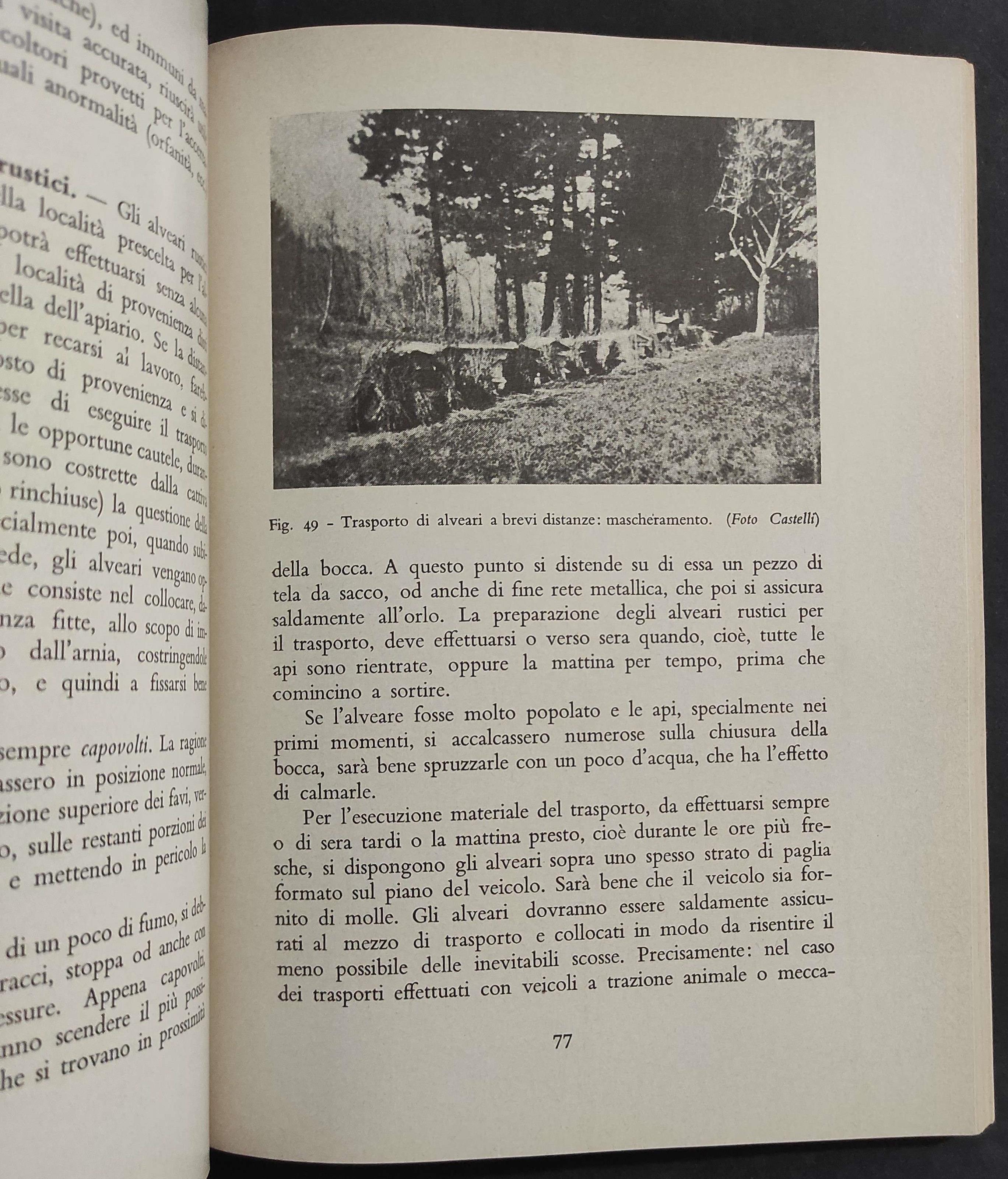 Apicoltura Moderna