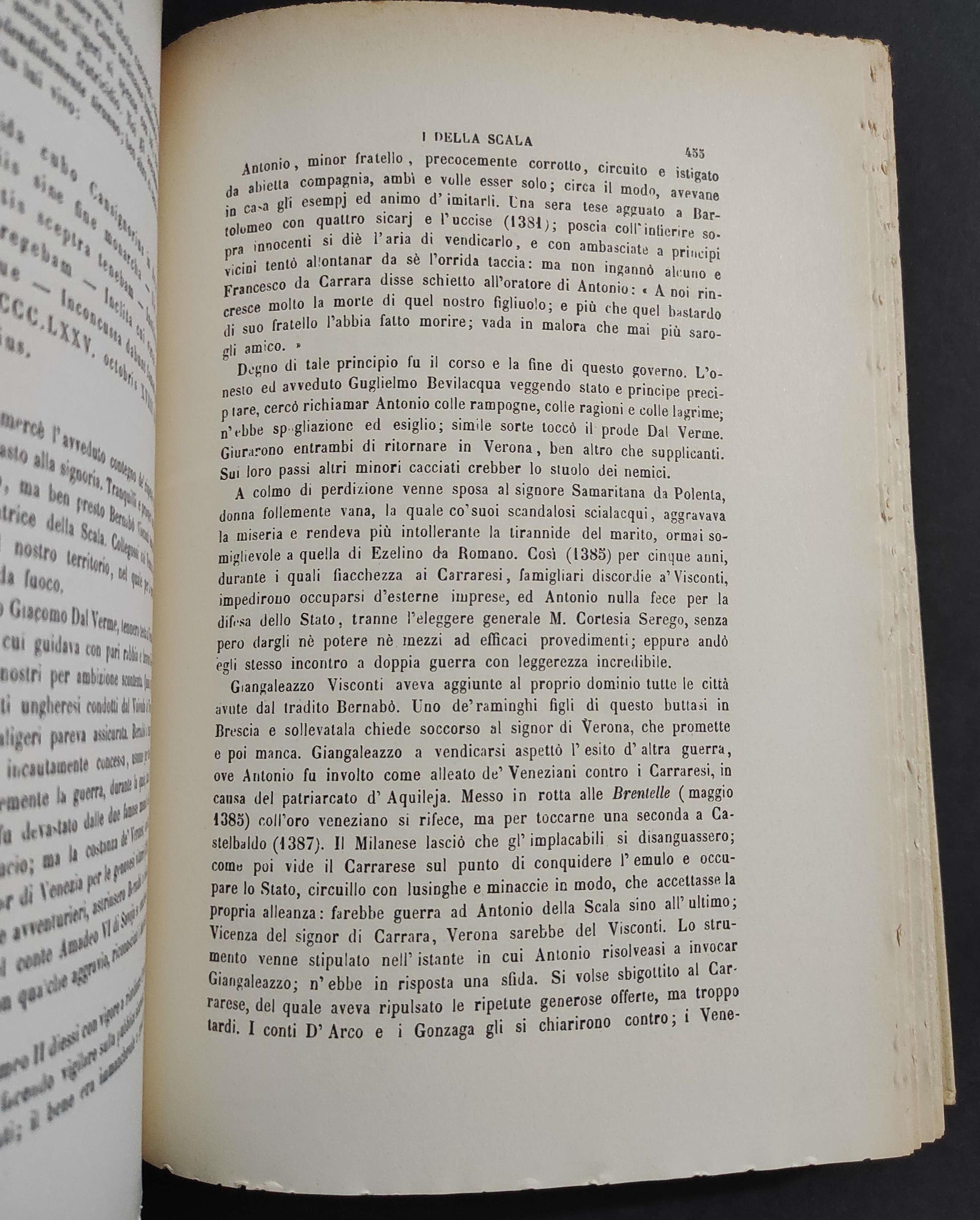 Storia di Verona e sua Provincia
