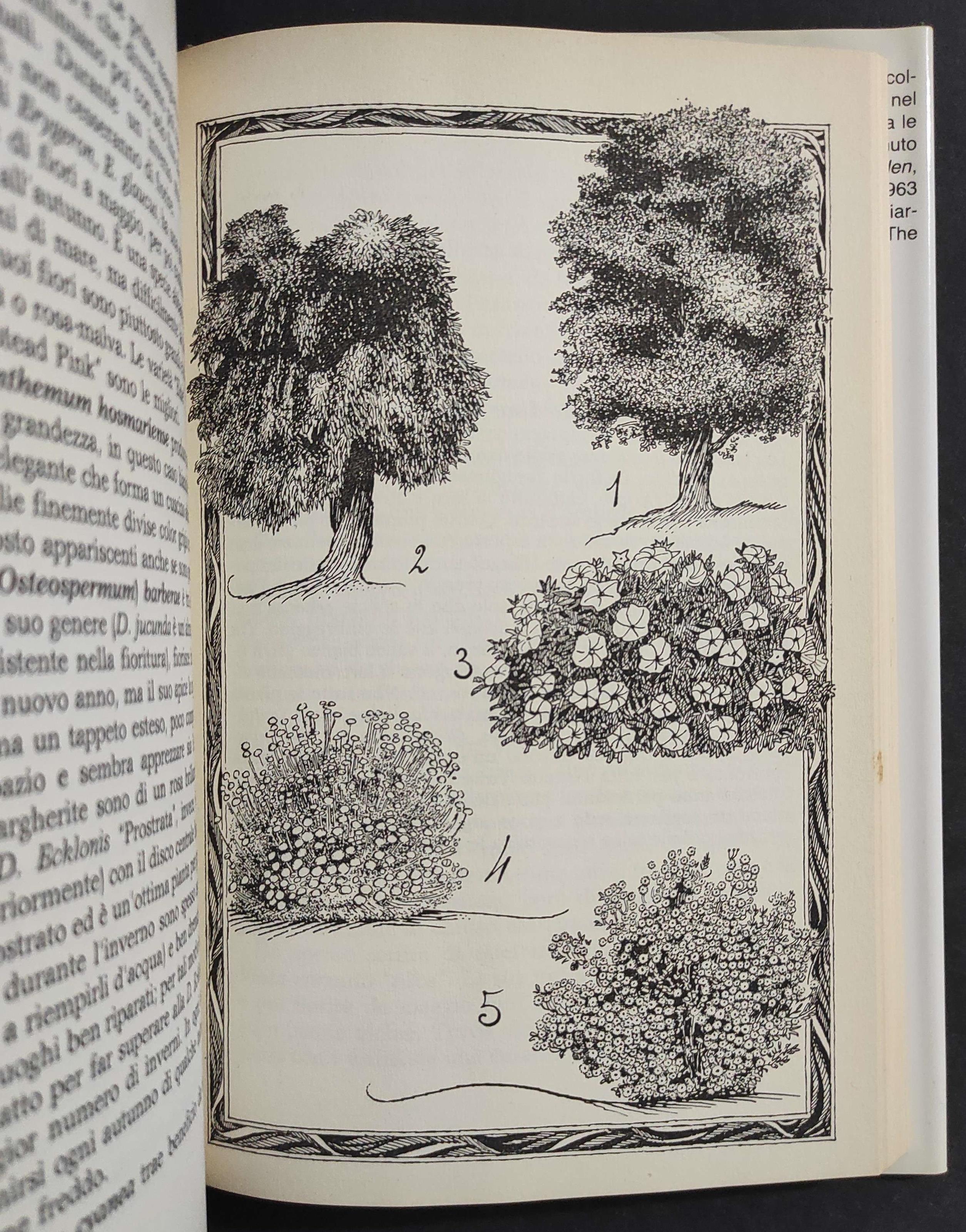 Guida Insolita ai Piaceri del Giardinaggio