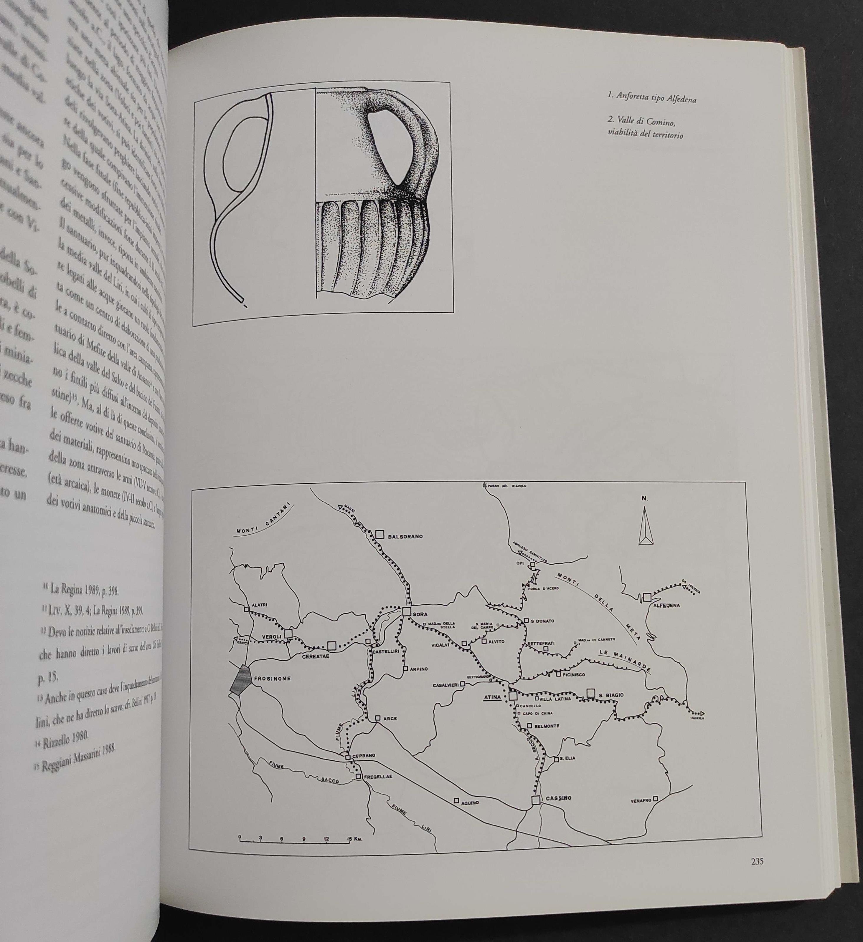 Studi sull'Italia dei Sanniti
